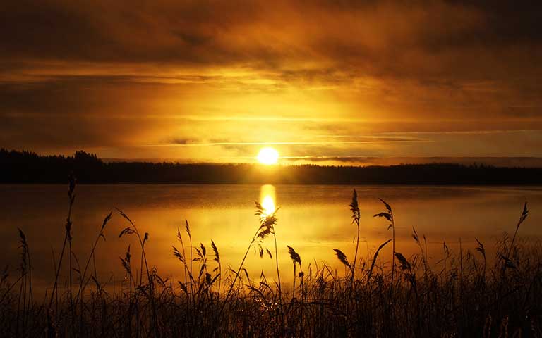 All images are under Mit Licence. All images are under Mit Licence.